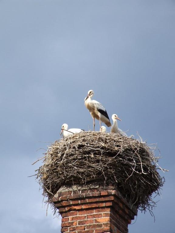 Parkschloesschen Hotel Maasdorf  Buitenkant foto
